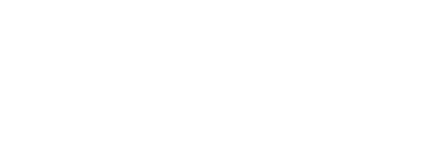 NES Drive